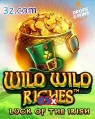 85x slot wild wild riches